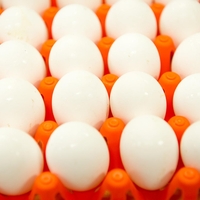 Če vedno izberete bela jajca, to verjetno počnete iz napačnega razloga