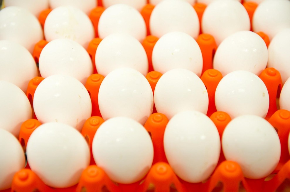 Če vedno izberete bela jajca, to verjetno počnete iz napačnega razloga (foto: profimedia)