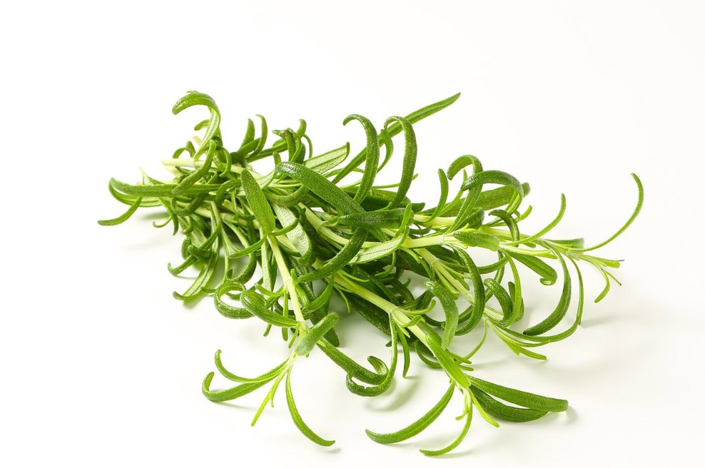 Zakaj je rožmarin najboljši prijatelj pred težkimi izpiti? (foto: Profimedia)