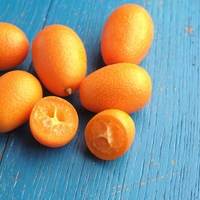 Kumkvat: Tako zelo okusen, a ga le redki poznajo in uživajo