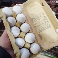 Mnogi kupci se čudijo: Zakaj jajca v trgovinah niso v hladilnih vitrinah?