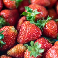 Kmalu se začne sezona jagod: S tem preprostim trikom bo priljubljeno sadje ostalo sveže do 10 dni