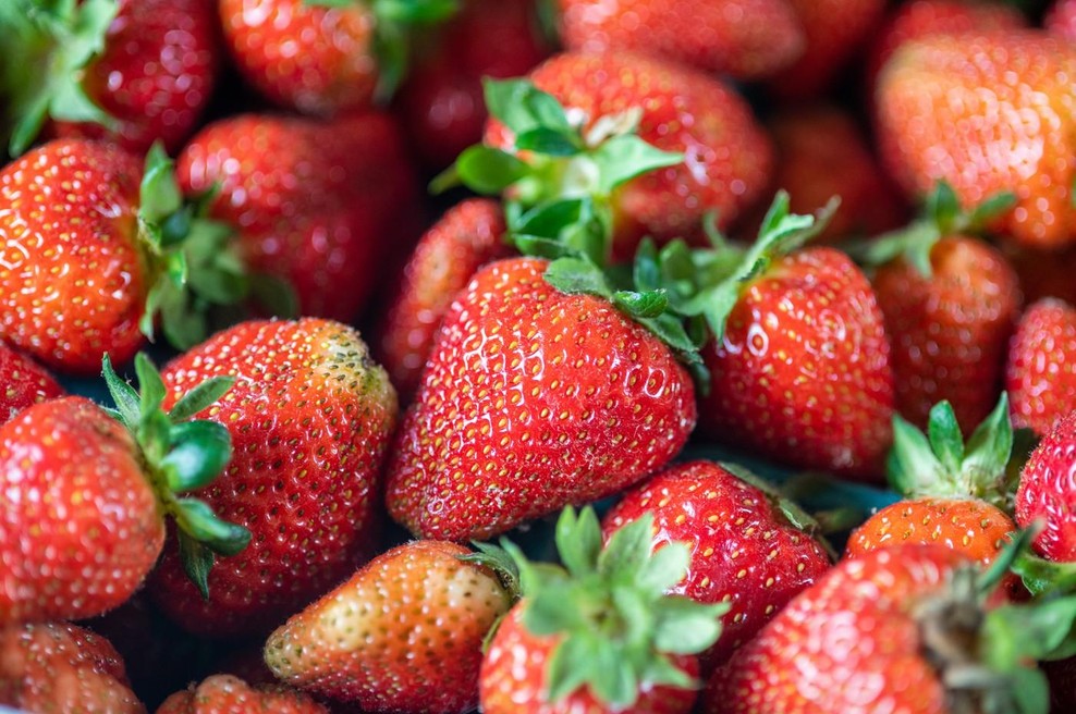 Kmalu se začne sezona jagod: S tem preprostim trikom bo priljubljeno sadje ostalo sveže do 10 dni (foto: Profimedia)