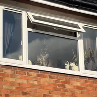 Ko je prišla z službe, jo je na oknu pričakalo 6 parov oči