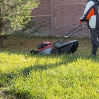 Ne kosite trave pred tem 10-sekundnim testom - lahko jo uničite!
