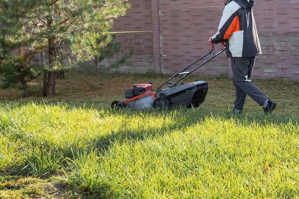 Ne kosite trave pred tem 10-sekundnim testom - lahko jo uničite! (foto: profimedia)