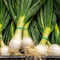 Začela se je sezona mlade čebule: razlogi, zakaj jo je dobro jesti pogosteje