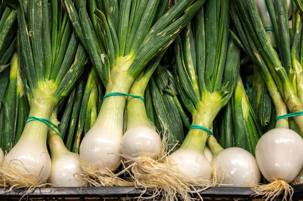 Začela se je sezona mlade čebule: razlogi, zakaj jo je dobro jesti pogosteje (foto: profimedia)