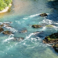 Nenavaden pojav v Neretvi: ekologi trdijo, da gre za mutanta