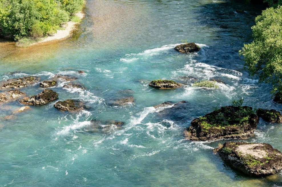 Nenavaden pojav v Neretvi: ekologi trdijo, da gre za mutanta (foto: profimedia)