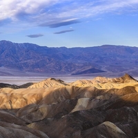 Čudež v Dolini smrti: puščava je spet zacvetela, kar se zgodi enkrat na desetletje