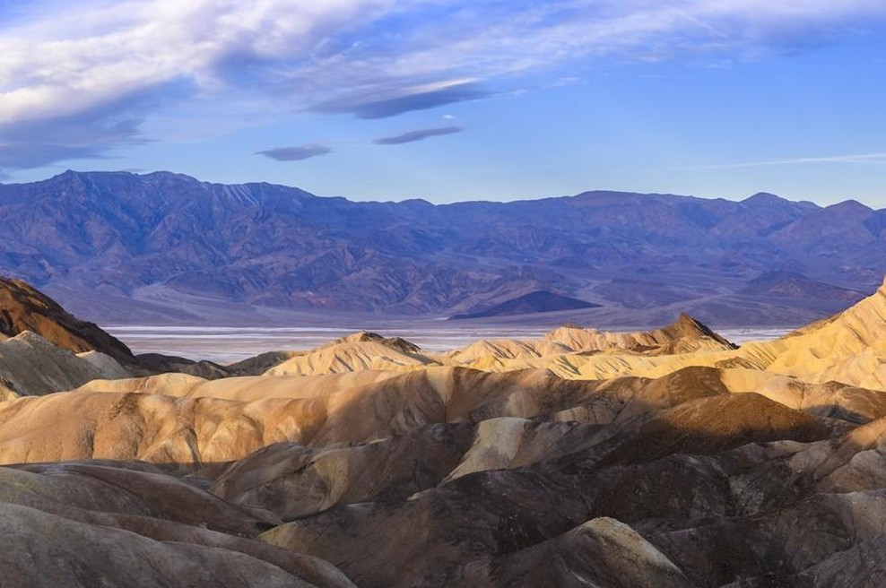 Čudež v Dolini smrti: puščava je spet zacvetela, kar se zgodi enkrat na desetletje (foto: profimedia)