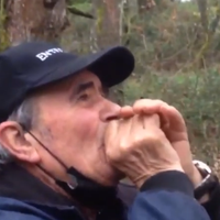 Odrasel med volkovi, zdaj živi med ljudmi:"Takrat sem bil zadnjič srečen"