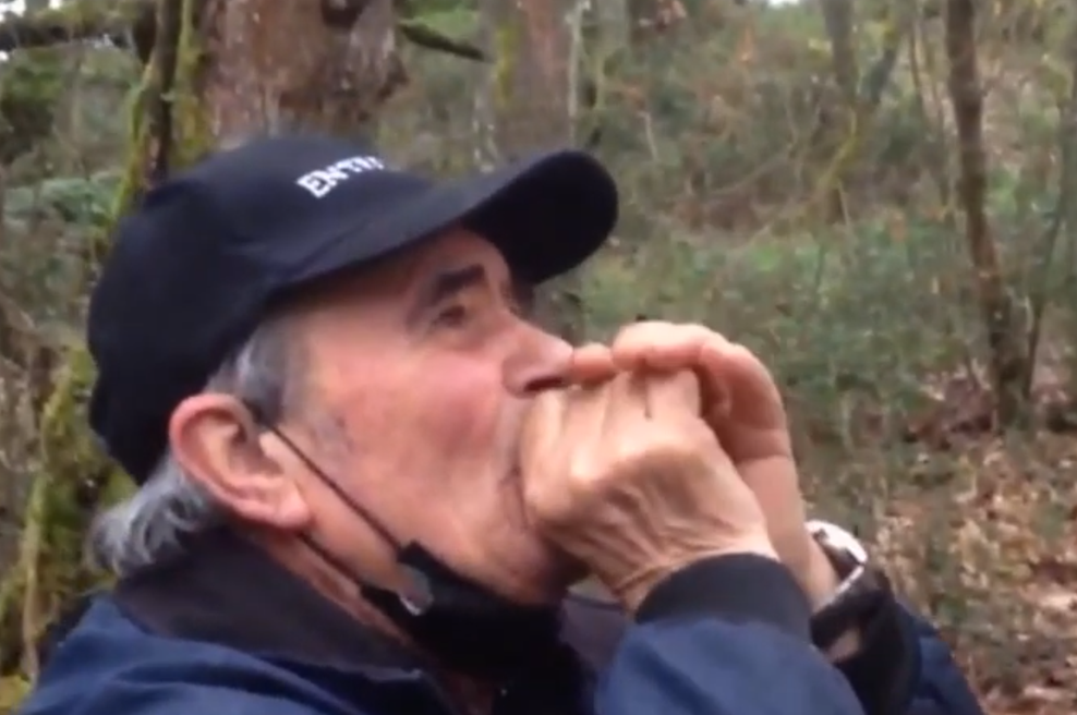 Odrasel med volkovi, zdaj živi med ljudmi:"Takrat sem bil zadnjič srečen" (foto: Zaslonska slika/Youtube)