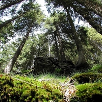 Gozd je 600 let varoval skrivnost: Arheologi odkrili ostanke srednjeveškega mesta