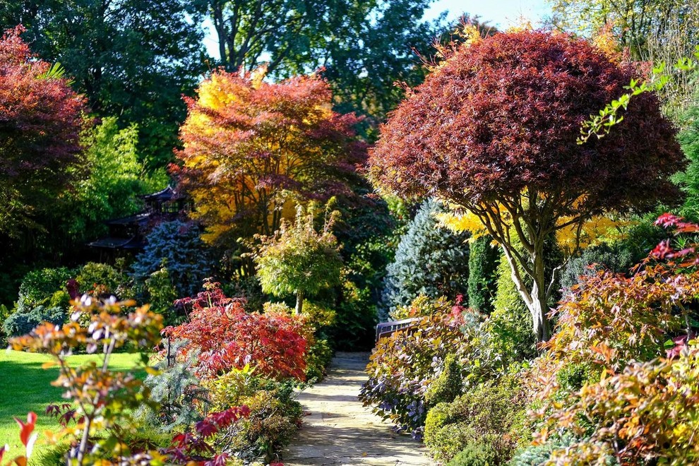 »Najprej sva dvorišče prilagodila najinim otrokom, a z leti sva prešla na sajenje in vzgojo lastnih rož in rastlin. Potrebnih …