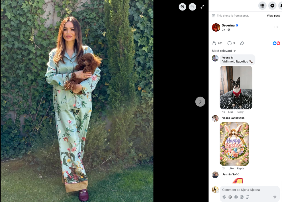 Hrvaška pevka Severina je znova navdušila z dovršeno in prefinjeno modno izbiro, ki jo je delila na družbenih omrežjih. Na …