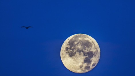 Polna luna