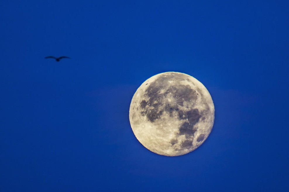 Danes je močna polna luna v Škorpijonu: Tole prinaša vašemu znaku (prihajata denar in ljubezen) (foto: Profimedia)