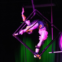 Cirkus Fuskabo navdušil z odrsko magijo: dih jemajoče akrobacije očarale občinstvo in znane Slovence