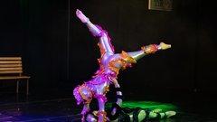 
                                                         Cirkus Fuskabo predstava Peron čudes