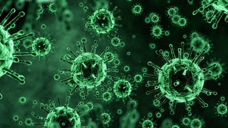virus, ultrazvok