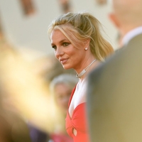 Britney Spears naj bi v restavraciji oponašala psa in hodila z nožem, sodelavci: "Vse je izmišljeno"