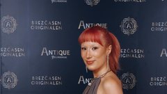 
                                                         Nebo zabava žur Antique Pelinkovac Bojan Cvjetićanin