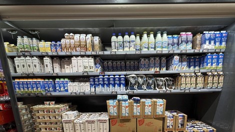 Mleko in mlečni izdelki