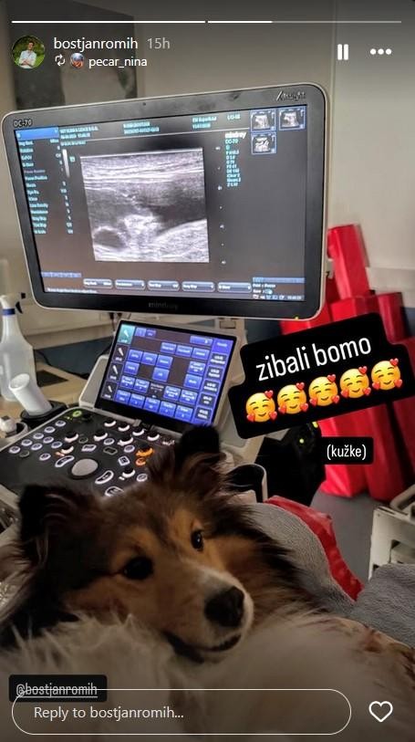 Prav ljubezen do štirinožnih prijateljev ga spremlja tudi doma. Voditelj ima psičko pasme šetlandski ovčar z imenom Chi, ki je …