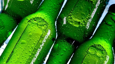 hladno pivo