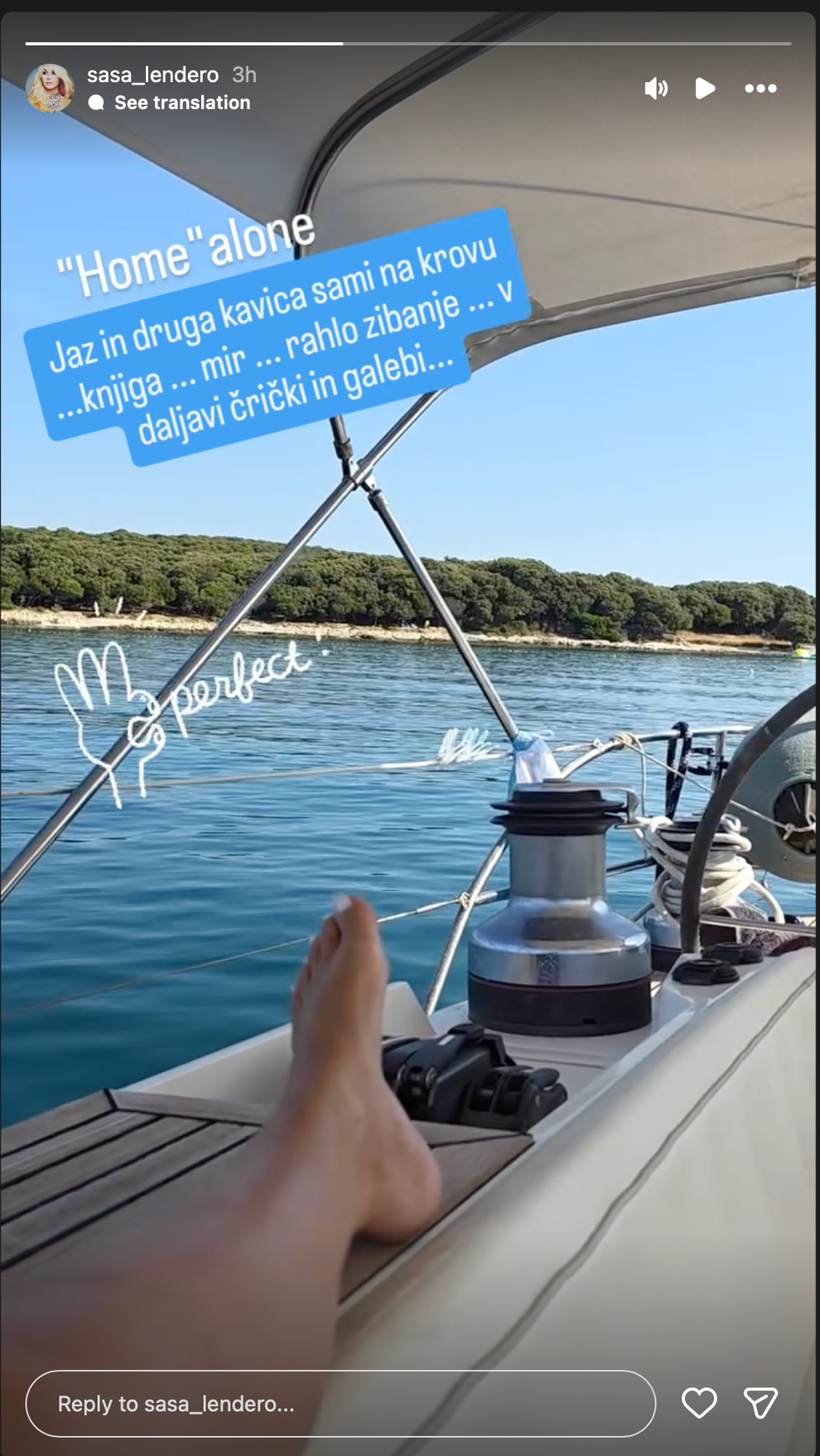Po ločitvi od glasbenika Mihe Hercoga, s katerim sta ostala v dobrih odnosih in skupaj skrbita za hčerko Ario, Saša …