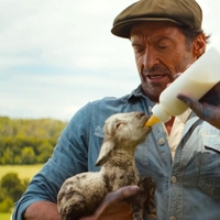 Hugh Jackman in njegove ovce so povzročile pravo zmedo