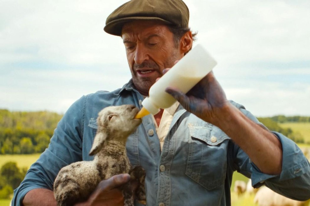 Hugh Jackman in njegove ovce so povzročile pravo zmedo (foto: profimedia)