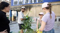 Stara Drama prenova plevel zanemarjena stavba