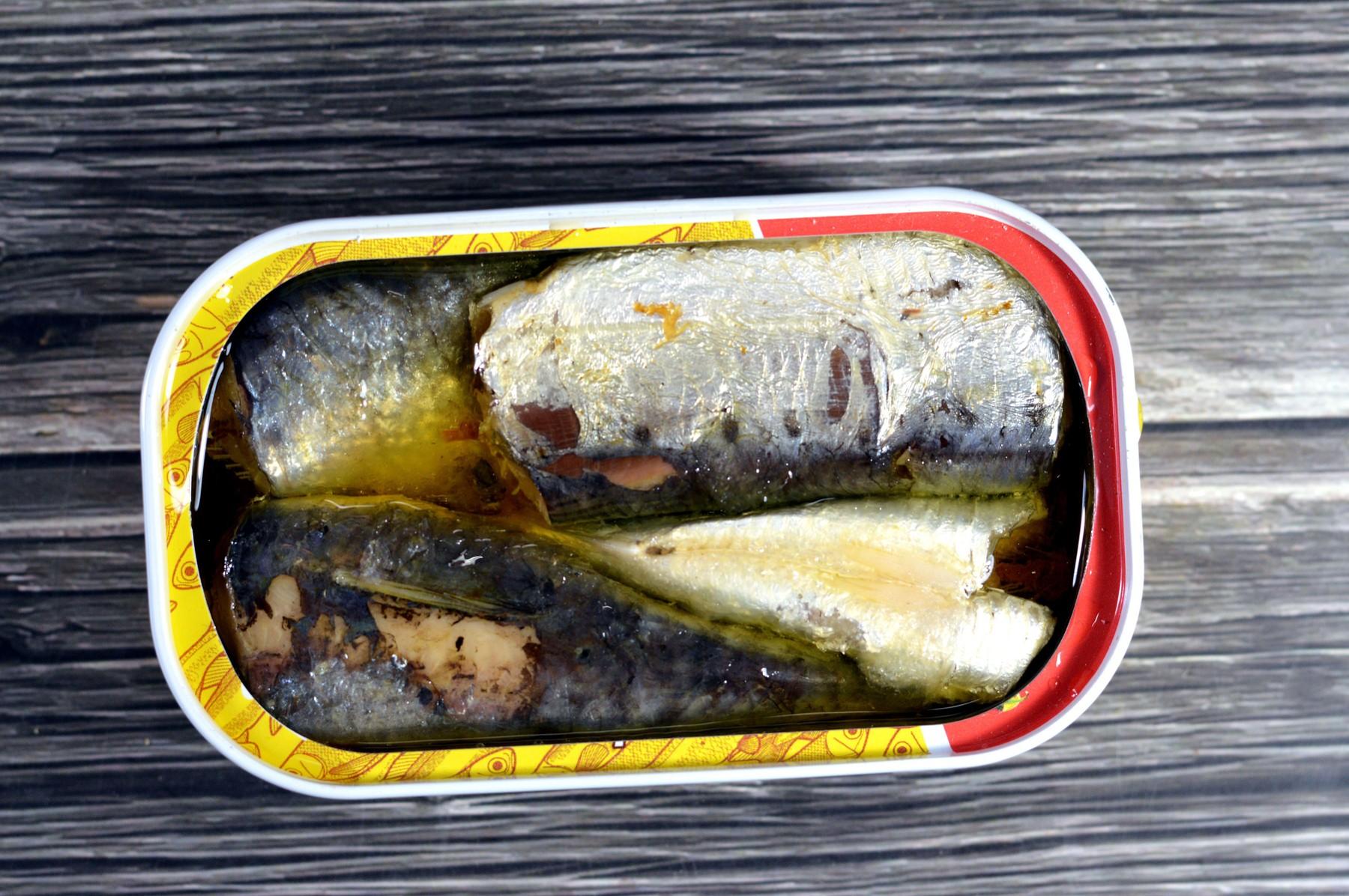 sardine