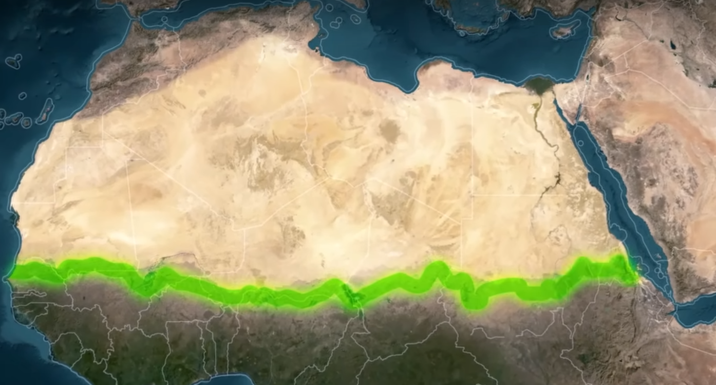 Največja mobilizacija v zgodovini se dogaja v Afriki – 8.000 km, 11 držav in 100 milijard dreves